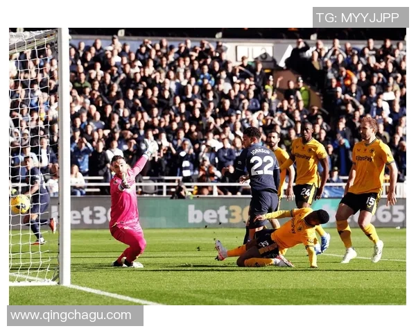 英超激战：那不勒斯与热刺战成平局全场沸腾赛后分析引发热议