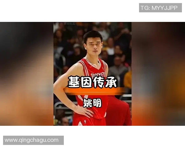 姚明与姚小虎的篮球传奇之路：从父子情深到共同追梦的精彩故事